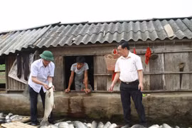 Đầu độc sông Bưởi, bị phạt gần 4 tỷ đồng