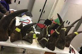 Phát hiện lô hàng "khủng" nghi sừng tê giác tại sân bay Nội Bài