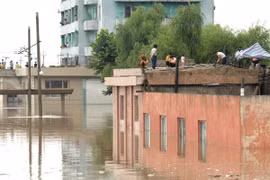 Triều Tiên: Lũ lụt khiến 133 người thiệt mạng, 395 người mất tích