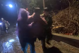 Kịp thời phối hợp cứu nạn nhân nhảy cầu Nhật Tân quyên sinh lúc rạng sáng