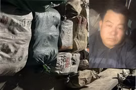 Mua thuốc nổ trên mạng, chế gần 800 kg pháo bán vào dịp Tết