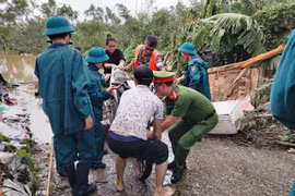 Quận Tây Hồ: Sẵn sàng mức cao nhất “hàn khẩu” đê theo chỉ đạo của thành phố