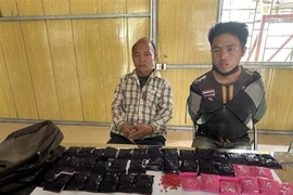 Vây bắt 2 bố con vận chuyển 8.000 viên ma túy tổng hợp