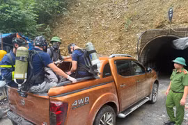 Triệu tập Giám đốc và Phó Giám đốc Công ty TNHH T&Đ 86