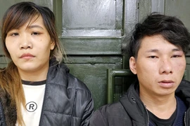 Bắt cặp đôi gây ra nhiều vụ trộm cắp liên tỉnh