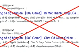 Cách xử lý backlink trên các trang thông tin điện tử 