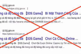 Cách xử lý backlink trên các trang thông tin điện tử 