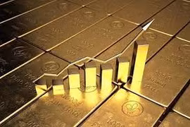 Mất hơn 4 tỷ đồng do đầu tư vàng qua mạng