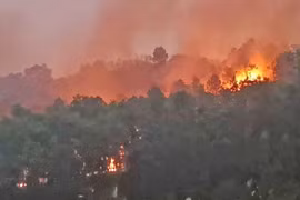 Điều tra, xử lý các vụ cháy rừng tại huyện Sóc Sơn