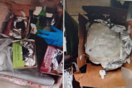 Đánh sập đường dây mua bán gần 100 kg ma tuý từ Châu Âu về Việt Nam