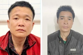 Bắt 2 đối tượng trộm trâu tại huyện Lục Ngạn