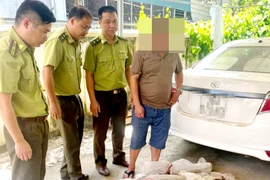 Phát hiện đối tượng vận chuyển động vật hoang dã trái phép số lượng lớn