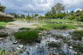 Buồn vì những cảnh nhếch nhác và ô nhiễm ở 'Thành phố ngàn hoa' Đà Lạt 