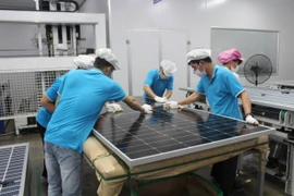 Quản lý và nhân viên cấu kết trộm cắp gần 7.000 tấm pin năng lượng mặt trời