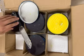  Đánh sập đường dây vận chuyển hàng chục kg ma tuý từ Châu Âu về Việt Nam