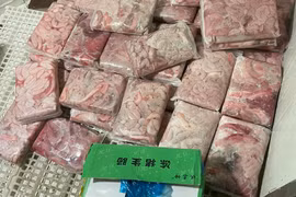 Phát hiện số lượng lớn tràng lợn không rõ nguồn gốc