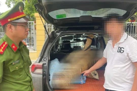 Khởi tố đối tượng buôn bán bộ da hổ 