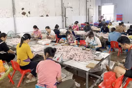 Phát hiện 2 tấn thực phẩm không rõ nguồn gốc 