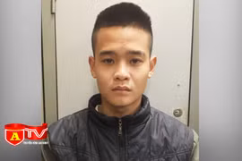 Bị bắt giữ khi trốn truy nã từ Lâm Đồng ra Hà Nội