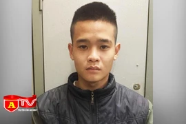 Bị bắt giữ khi trốn truy nã từ Lâm Đồng ra Hà Nội