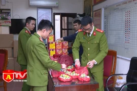 Hám lợi nhuận cao, 2 vợ chồng đi buôn pháo nổ