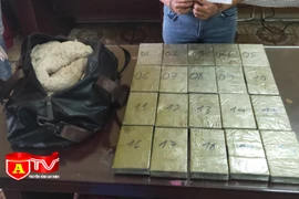 Hà Nội: Khám phá đường dây vận chuyển trái phép 20 bánh ma túy