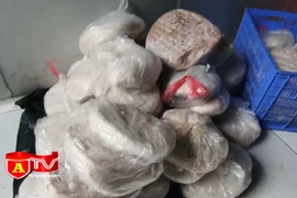 Phát hiện hơn 500kg thực phẩm đông lạnh không rõ nguồn gốc