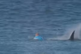 Hú hồn đang thi lướt sóng thì gặp cá mập