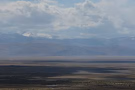 Nga: Mỗi người dân có thể nhận được 1 hecta đất miễn phí