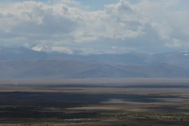 Nga: Mỗi người dân có thể nhận được 1 hecta đất miễn phí