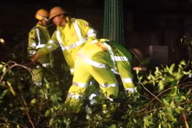 Nghệ An: Lực lượng CSGT xuyên đêm dọn dẹp cây đổ sau bão