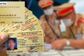 Các lỗi bị trừ điểm trên bằng lái xe nếu vi phạm từ 1-1-2025