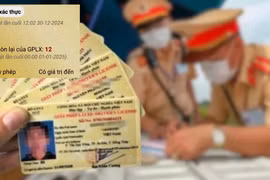 Các lỗi bị trừ điểm trên bằng lái xe nếu vi phạm từ 1-1-2025