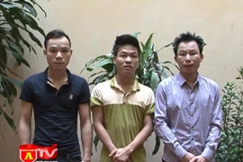 Giả danh nhân viên sửa chữa, bảo hiểm gas để trộm cắp tài sản 