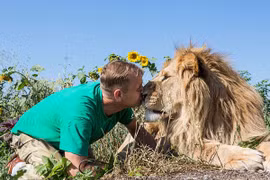 Ngắm bộ ảnh "siêu thực" về tình bạn đáng yêu của con người và sư tử 