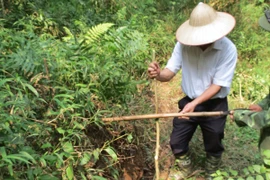 Nứt nghiêm trọng trên núi Ba Vì