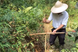 Nứt nghiêm trọng trên núi Ba Vì