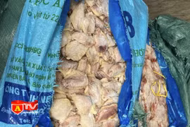Phát hiện gần một tấn cánh gà không rõ nguồn gốc 