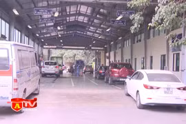 Bỏ quy định xử phạt dây chuyền kiểm định, tăng chế tài xử phạt đơn vị đăng kiểm