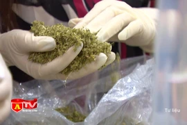 Trong 6 tháng, phát hiện, khởi tố hơn 13.000 vụ án liên quan đến ma túy 