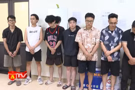 Tổ chức sử dụng trái phép chất ma tuý trong quán cà phê