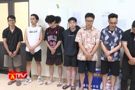 Tổ chức sử dụng trái phép chất ma tuý trong quán cà phê