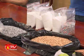 Hành trình triệt phá đường dây mua bán ma tuý từ nước ngoài về Việt Nam