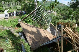  Ô tô chở gỗ rơi xuống hố, 3 người thương vong