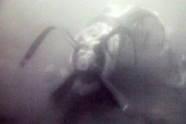 Tìm thấy động cơ CASA 212 và mảnh vỡ máy bay Su-30MK2