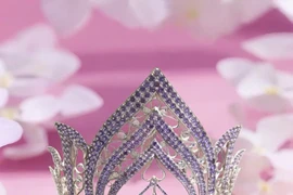 Người đẹp đăng quang "Hoa hậu Doanh nhân Việt Nam 2025" nhận giải thưởng gần 4 tỷ đồng