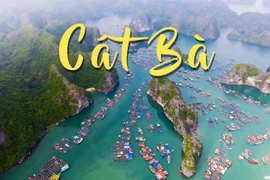 Một dự án phim quốc tế muốn chọn Cát Bà làm bối cảnh quay 