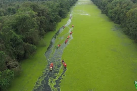 Biệt đội "Thủ lĩnh sống xanh" chinh phục thử thách mới ở 3 tỉnh, thành