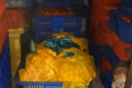 Thịt lợn trộn huyết hoá thịt nai, bò, đà điểu