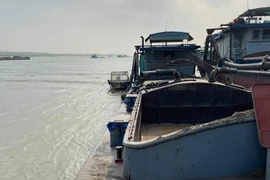 Lợi dụng chập tối, tàu 'khủng long' hút cát trộm trên sông Hồng 